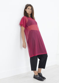 Thumbnail for Mesh Over Dress in Pink